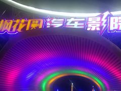 -枫花园汽车电影院(朝阳公园店)