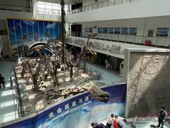 -中国地质大学逸夫博物馆