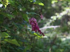 -千峡湖生态旅游度假区