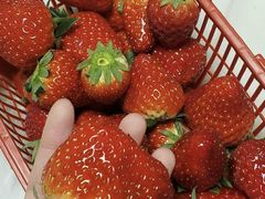 -速8酒店(西安电视塔自然博物馆店)