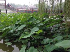 iphone_upload_pic-大明幻境第一城