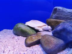 -上海海洋水族馆