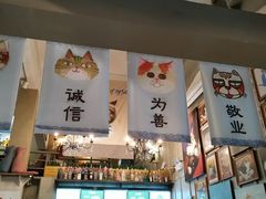 -猫咪博物馆(顶澳仔猫街店)