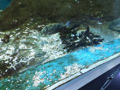 -海合安武汉极地海洋公园