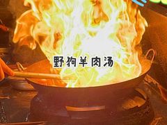 -野狗羊肉汤