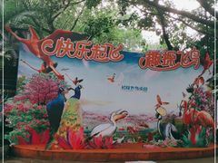 -广州长隆飞鸟乐园