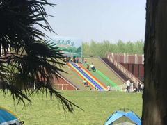 -黄海国家森林公园