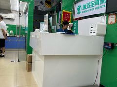 -瑞派动物医院·猫专科·至诚(江南中分院)