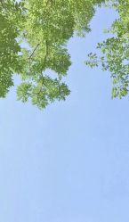 -梵隐SPA
