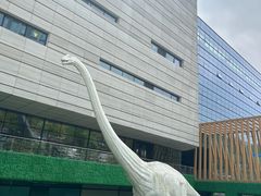 -贵州省地质博物馆