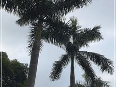 -广州市白云山风景名胜区