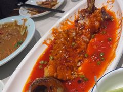 -新侨小馆(东直门北小街店)