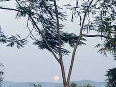 -西双版纳傣族园