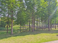 -眉山湿地公园(东坡区)