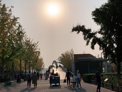 -大兴滨河森林公园