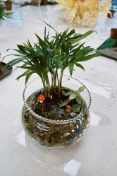 -兰心墩楠月子会所(万达店)