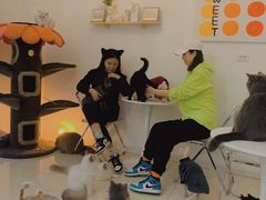 -团子家猫咪猫咖馆·柯基·柯尔鸭