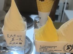 -野人先生现做冰淇淋(北京环宇荟店)