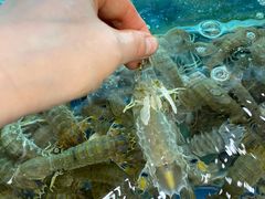 -合家小菜餐馆(新诚花苑店)