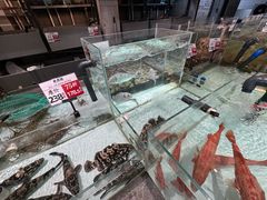 -万龙洲海鲜(大兴绿地缤纷城店)