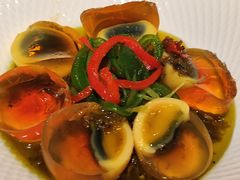 双椒小皮蛋-胡桃里乐队酒馆(广州塔店)