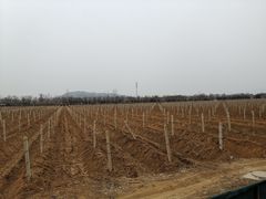 -北京张裕爱斐堡酒庄