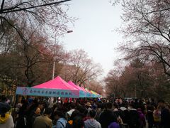 -吉林大学(南岭校区)