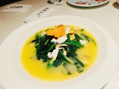 上汤菠菜-维园悦谱·海派家常菜(乌鲁木齐南路店)