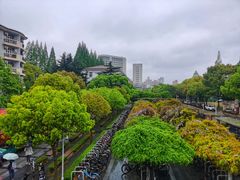 -上海财经大学(国定路校区)