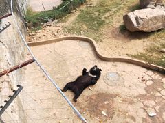 -无锡动物园·太湖欢乐园