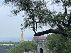 -广州莲花山旅游区