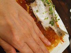 清蒸黄翅鱼-全渔村小海鲜