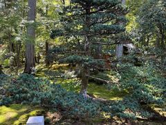 -西芳寺(苔寺)