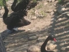 -天津东丽湖风景区