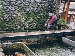 -京北渔家傲