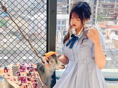 -怪兽屋·羊驼·猫咖·狗咖(俊华广场店)