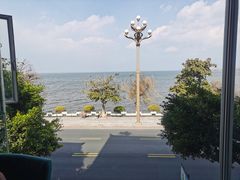 -野菌皇海景野生菌火锅(滨海大道店)