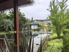 -抚仙湖万达文华酒店