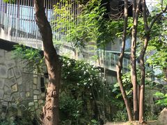 -西安市长乐公园