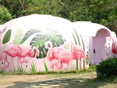 -漳州滨海火山岛自然生态风景区