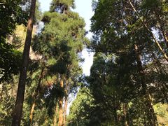 -雁荡山风景名胜区