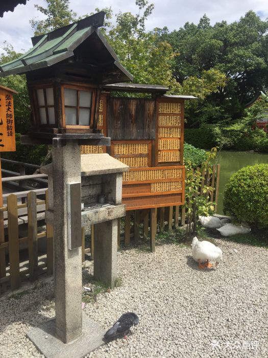 神泉苑图片 - 第4张