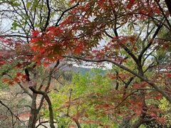 -塔川景区