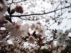 -中国浦东干部学院