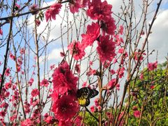 -水濂山森林公园