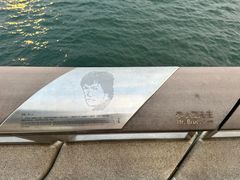-星光大道