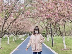 -西北湖绿化广场