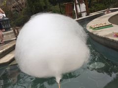 -苏州湾王焰温泉度假酒店
