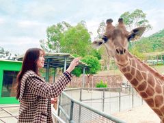 -泉州海丝野生动物世界