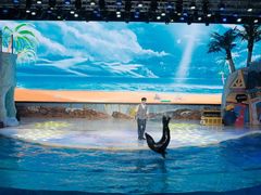 -三亚海昌梦幻海洋不夜城